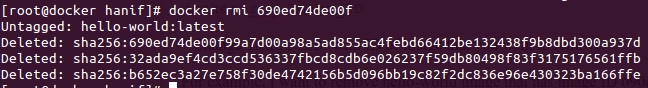  Removing Docker Images