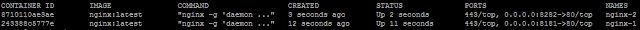  docker ps