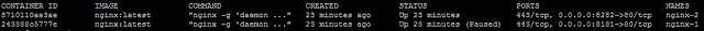  docker ps