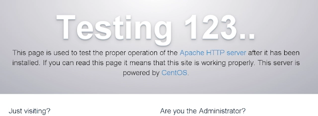  Apache web server is running