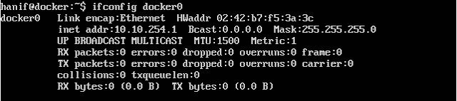  Mengubah IP Address dan Subnet Interface Bridge docker0