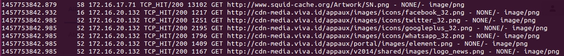 Squid’s access log